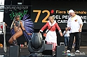 VBS_9281 - Fiera del Peperone di Carmagnola - Festa di Re Peperone e Bela Povronera